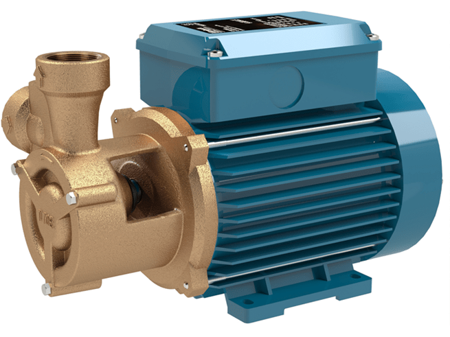 Calpeda CTM 61 close-coupled peripheral pump 230V