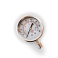 Glycerine manometer 0-10bar diameter 60mm bottom connection G1/4 - stainless steel