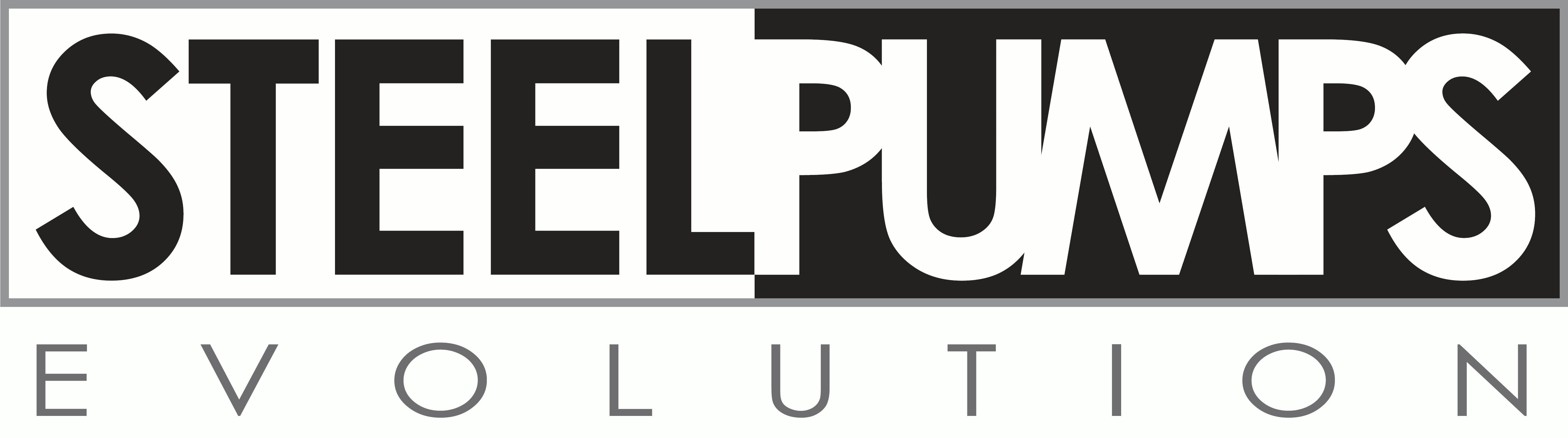 logo steel pumps